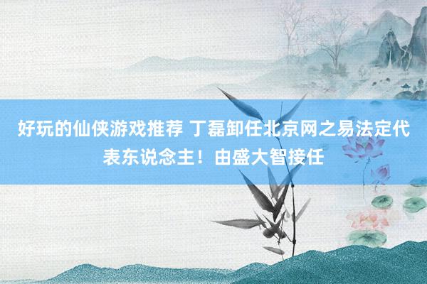 好玩的仙侠游戏推荐 丁磊卸任北京网之易法定代表东说念主！由盛大智接任