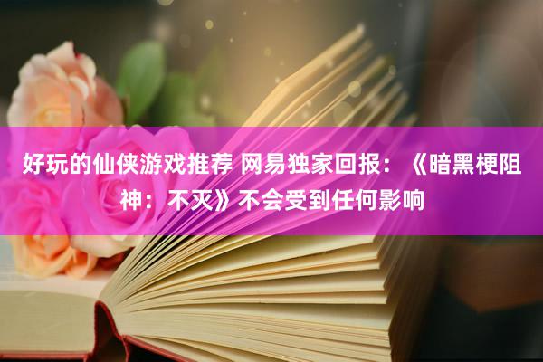 好玩的仙侠游戏推荐 网易独家回报：《暗黑梗阻神：不灭》不会受到任何影响