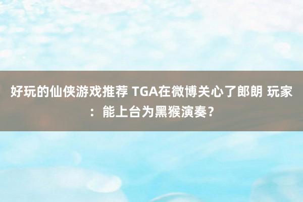 好玩的仙侠游戏推荐 TGA在微博关心了郎朗 玩家：能上台为黑猴演奏？