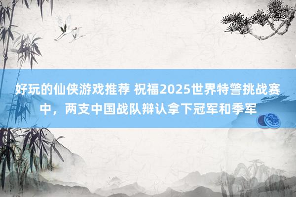 好玩的仙侠游戏推荐 祝福2025世界特警挑战赛中，两支中国战队辩认拿下冠军和季军