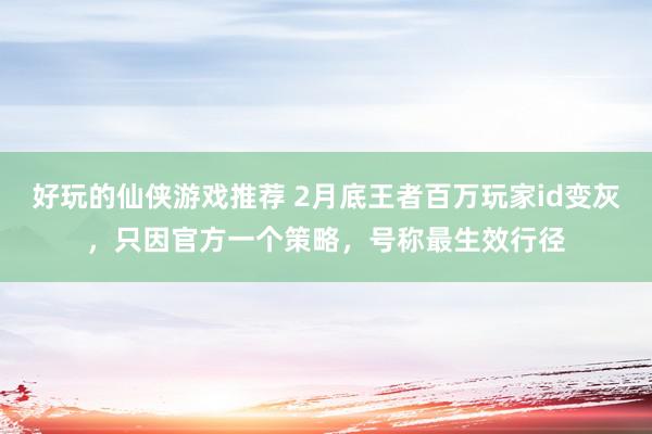 好玩的仙侠游戏推荐 2月底王者百万玩家id变灰，只因官方一个策略，号称最生效行径